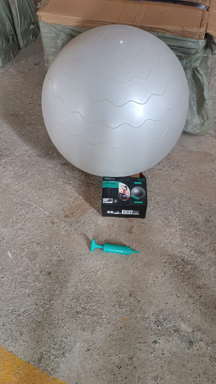 🎠🎠Heavy Duty Gym Ball Non-Slip Stability Ball with Foot Pump for Total Body Fitness (Copy)