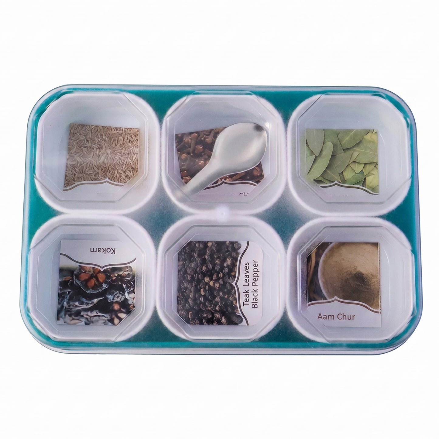 Plastic Real Masala Masti Box with 6 Compartments for Spice Storage