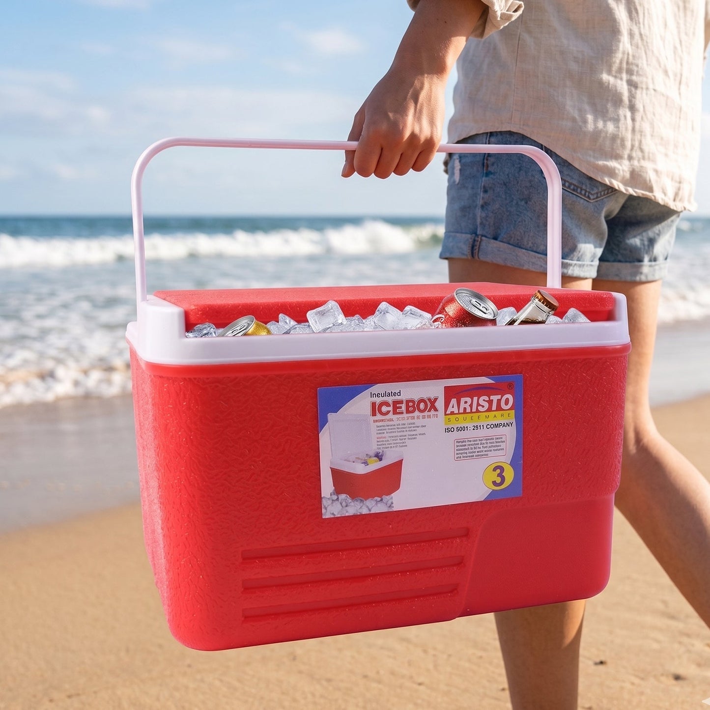 Heavy Duty Insulated Ice Box (1 Pc, Red / 3Ltr)