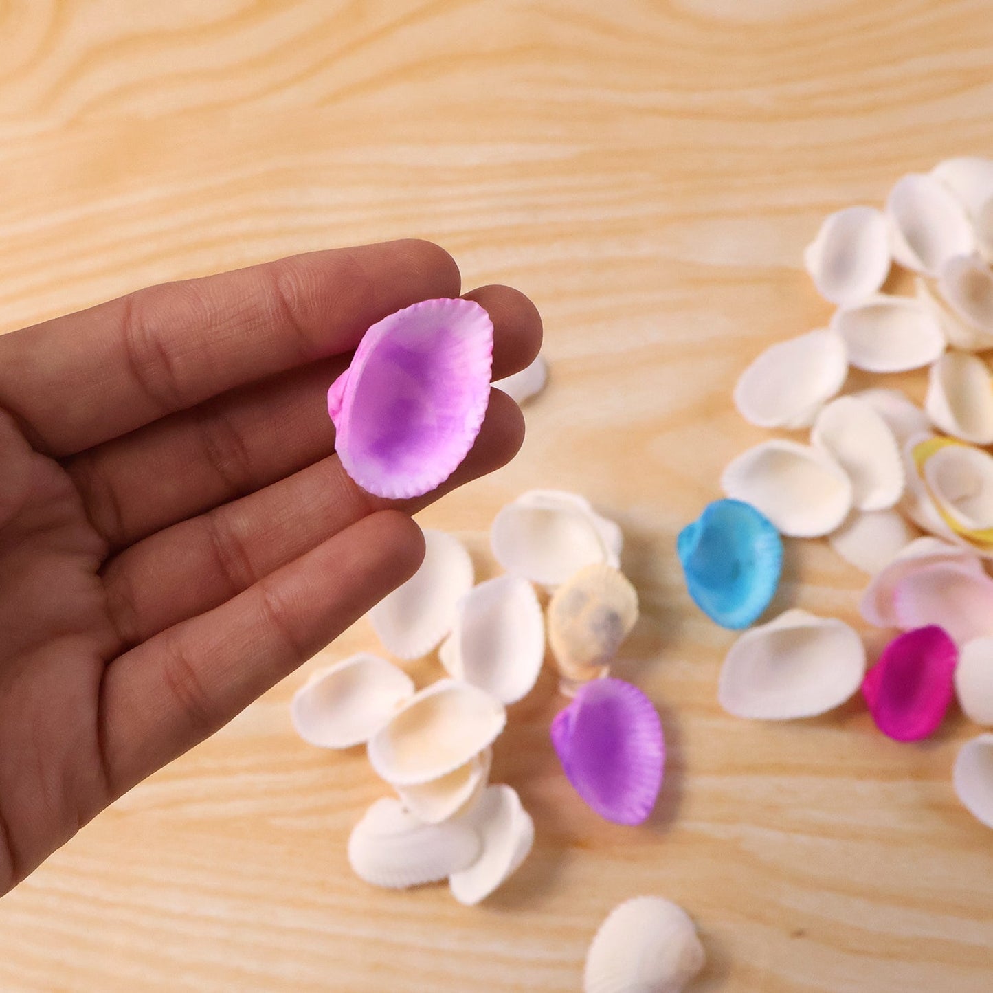 Decorative Seashells Set (1 Set)