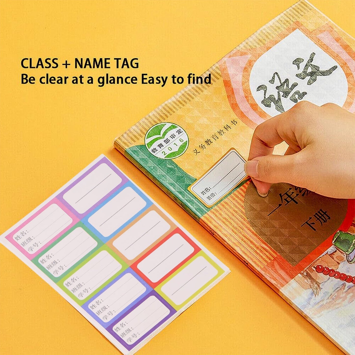 Premium Transparent Adhesive Book Cover Sheets (Mix Size / 30 Pc)