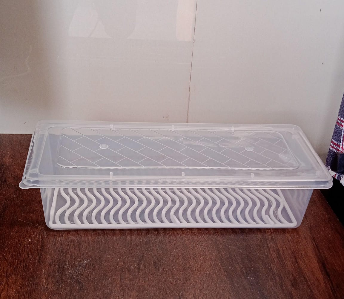 Food Storage Container with Removable Drain Plate and Lid, 1500 ml (Pack of 1 Pc)