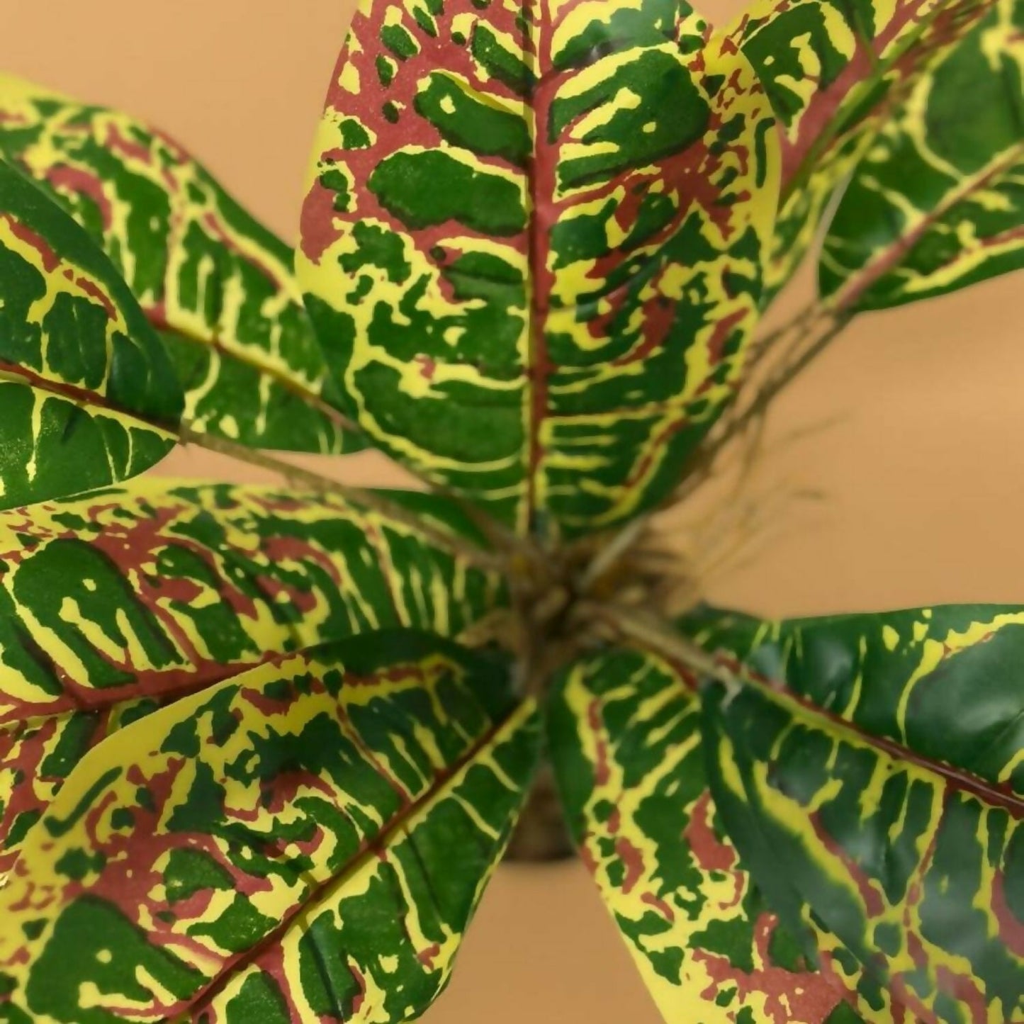 Artificial Decorative Leaf Plant with Pot for Home & Office Table DÃ©cor