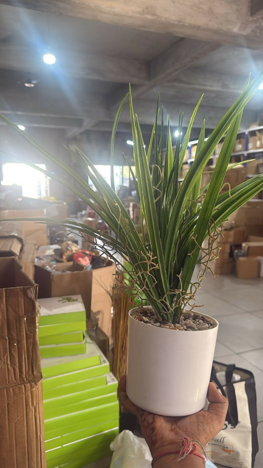 Artificial Indoor Tabletop Plant in Decorative Pot for Home & Office DÃ©cor