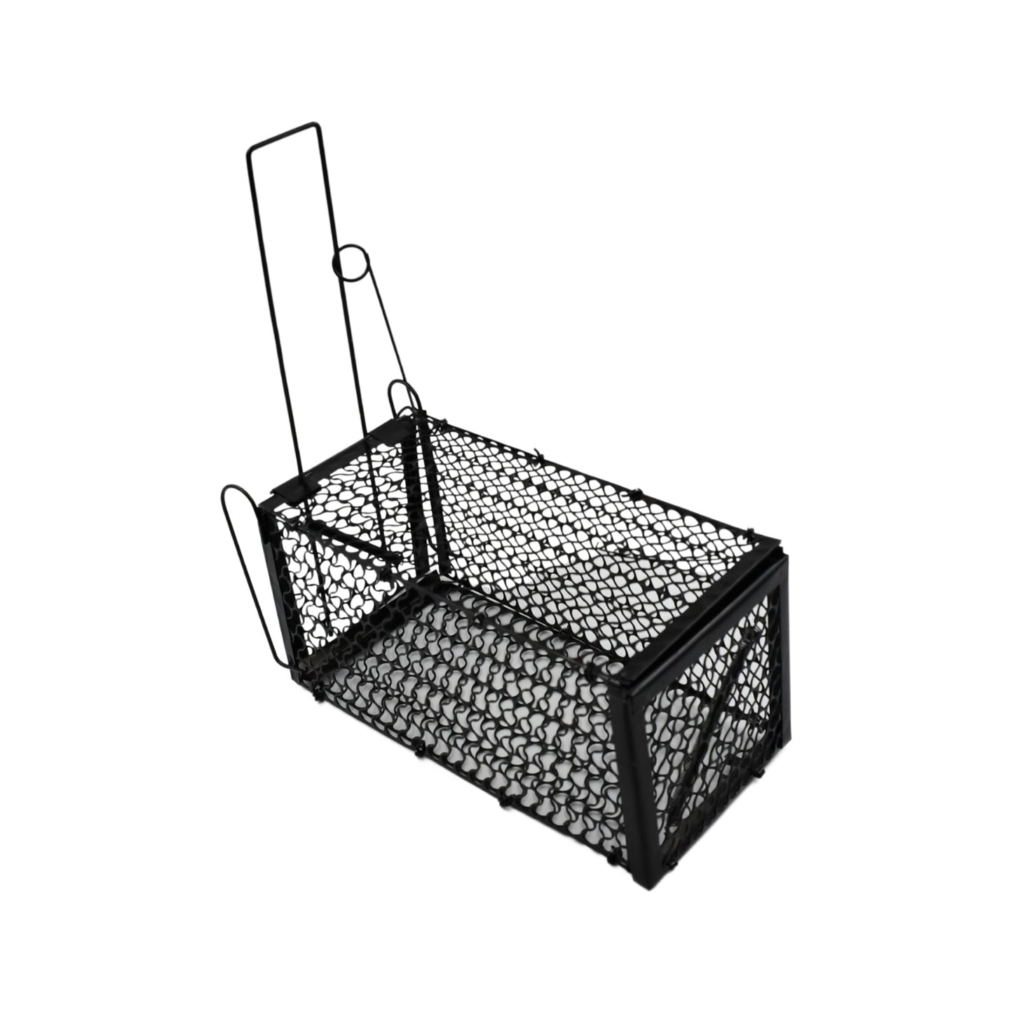 Foldable Live Mouse Trap – Easy Catch & Release Cage for Mice, Squirrels, Voles & Hamsters