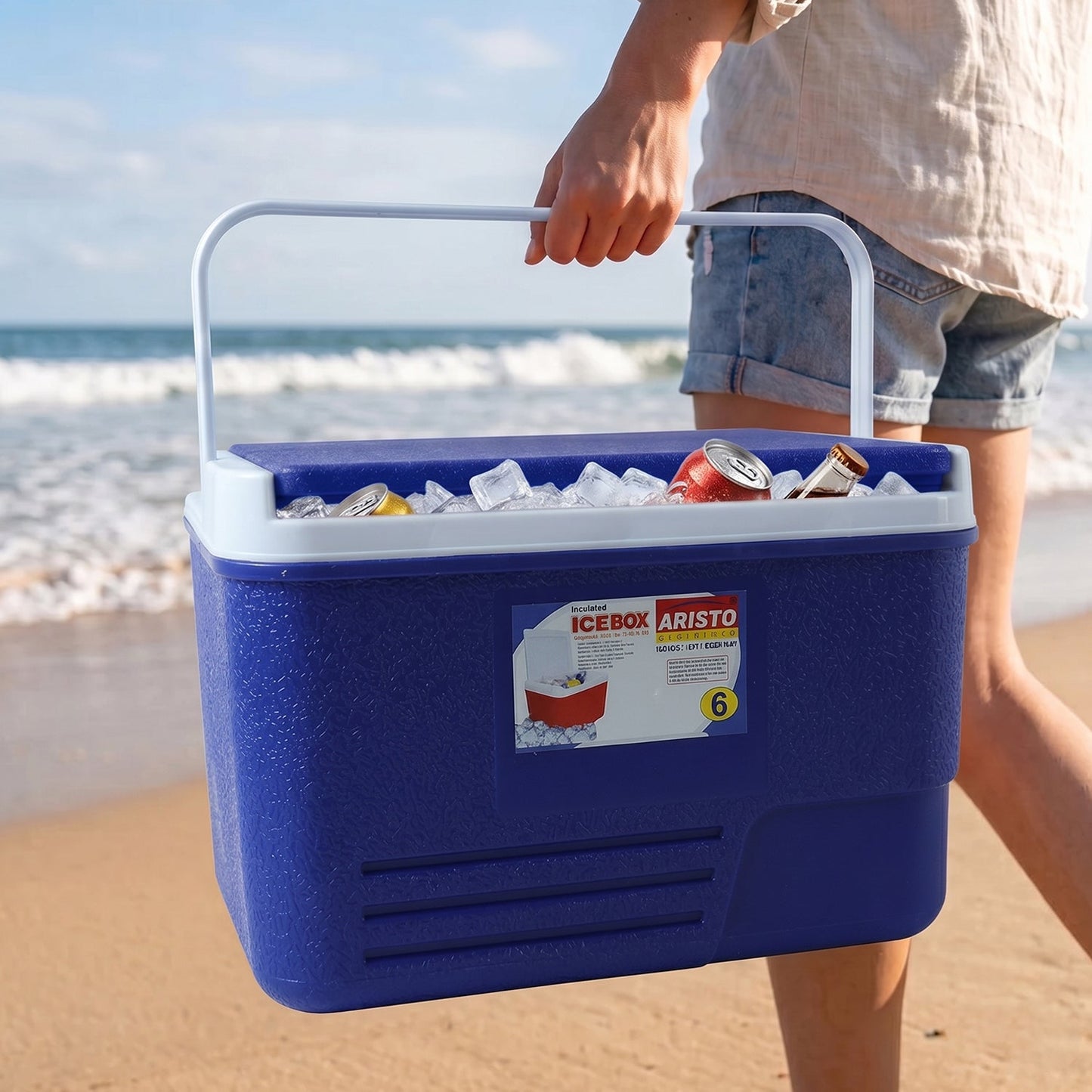 Portable Insulated Ice Cooler Box with Carry Handle (1 Pc, Blue / 6Ltr)