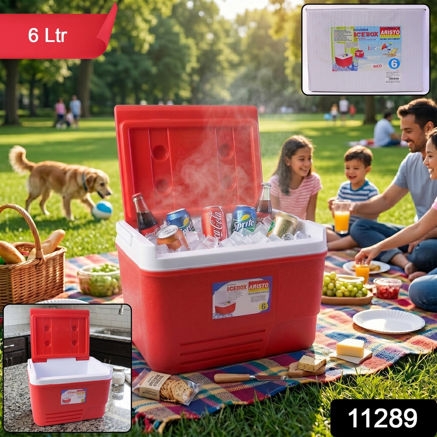 Heavy Duty Insulated Ice Box (1 Pc, Red / 6Ltr)