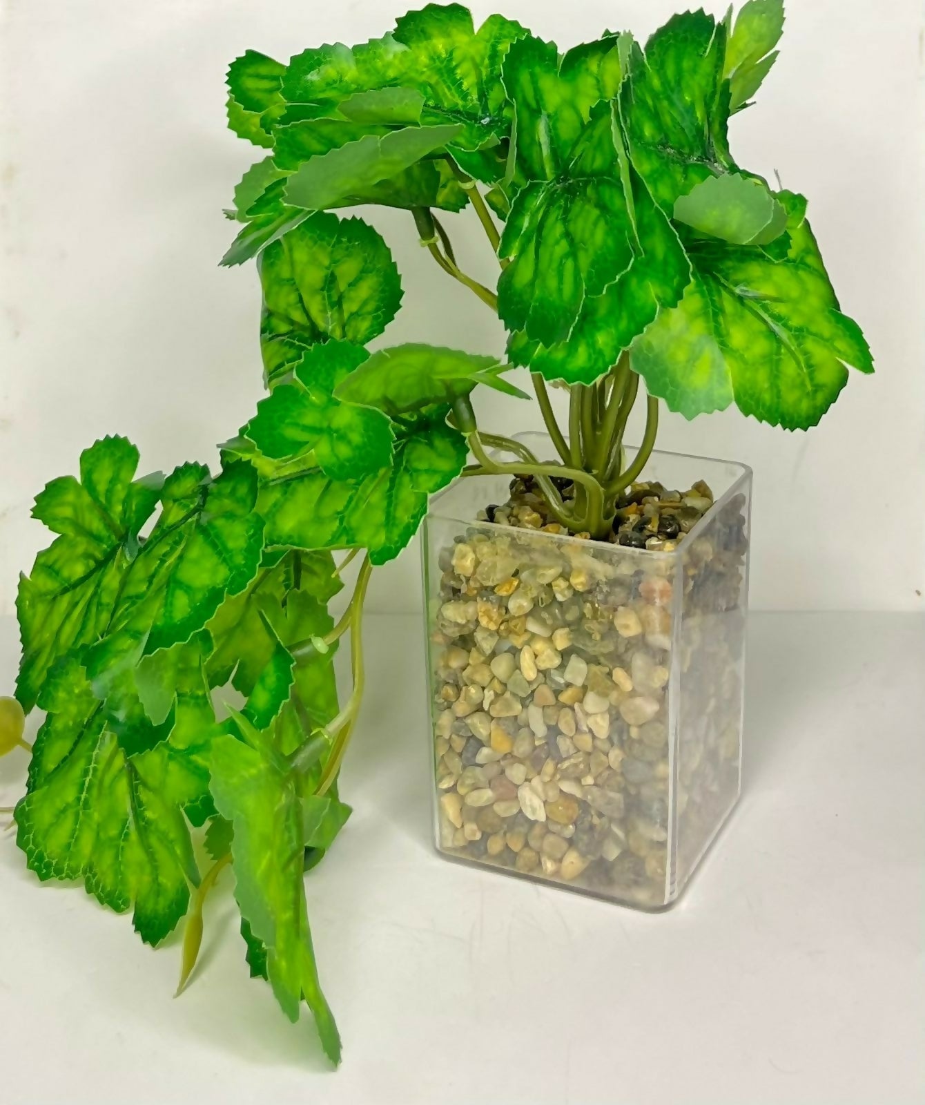 Artificial Trailing Leaf Plant in Clear Pot for Home & Office Table DÃ©cor